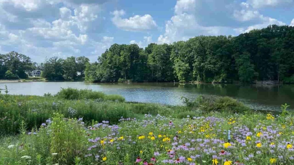 Brunswick, Ohio, Medina County, featuring open green space, walking trails, trees, and families enjoying outdoor activities.